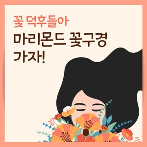 SKT 티다이렉트샵 마리몬드 액세서리 카드뉴스